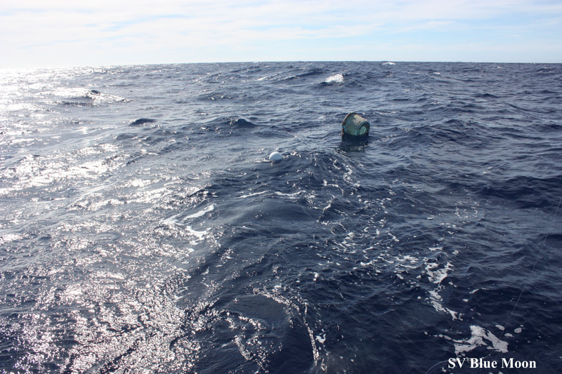 Industrial bucket found in the Great Pacific Garbage Patch

SV Blue Moon
