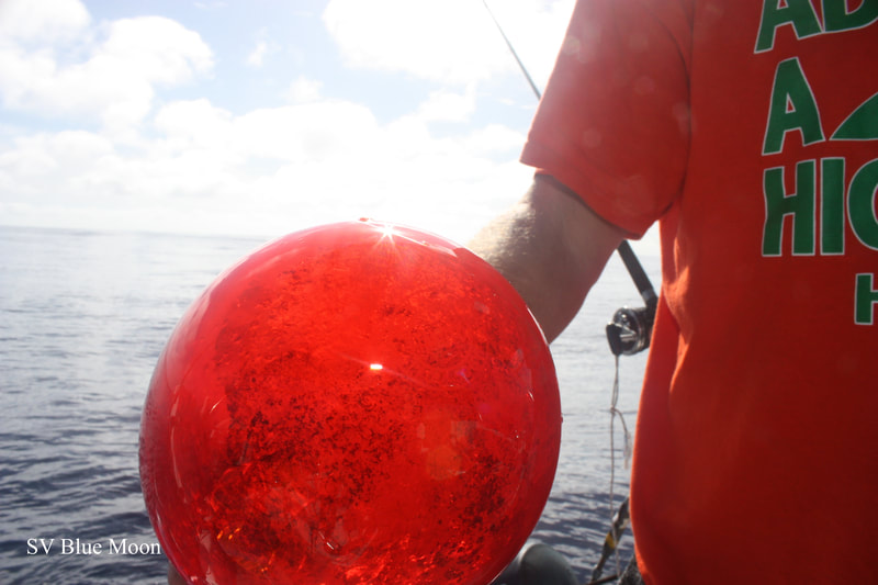 Large Red Lightbulb from Japanese Fishing Vessel found in the Great Pacific Garbage Patch

SV Blue Moon