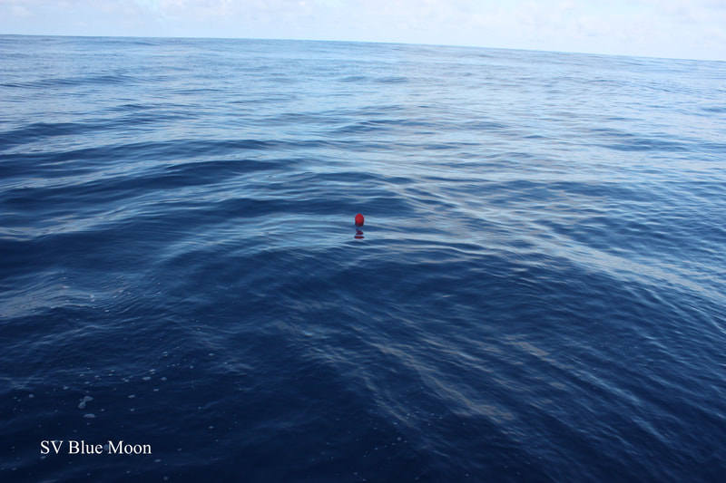 Large Red Lightbulb from Japanese Fishing Vessel found in the Great Pacific Garbage Patch

SV Blue Moon