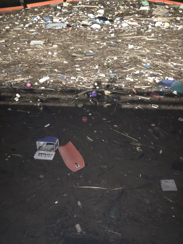 Garbage and Trash / Debris in Ala Wai Harbor Honolulu, HI
SV Blue Moon